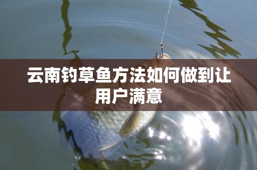 云南钓草鱼方法如何做到让用户满意