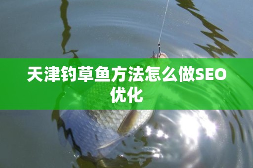 天津钓草鱼方法怎么做SEO优化