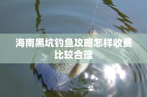 海南黑坑钓鱼攻略怎样收费比较合理