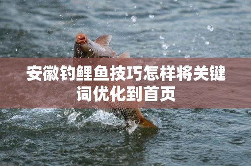 安徽钓鲤鱼技巧怎样将关键词优化到首页