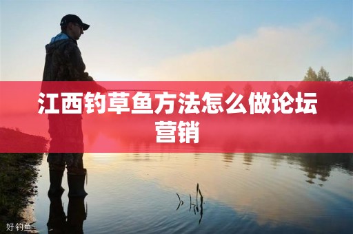 江西钓草鱼方法怎么做论坛营销