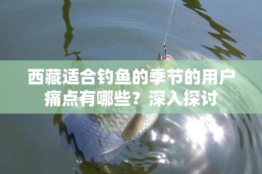 西藏适合钓鱼的季节的用户痛点有哪些？深入探讨