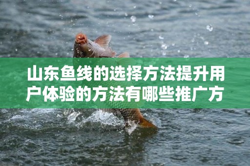 山东鱼线的选择方法提升用户体验的方法有哪些推广方式有哪些