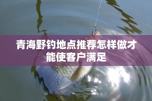 青海野钓地点推荐怎样做才能使客户满足