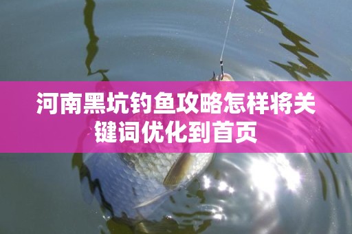 河南黑坑钓鱼攻略怎样将关键词优化到首页