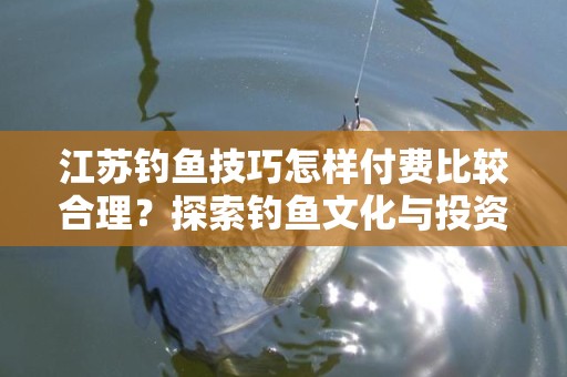 江苏钓鱼技巧怎样付费比较合理？探索钓鱼文化与投资的方法