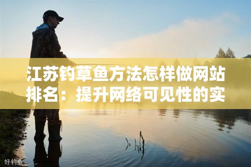 江苏钓草鱼方法怎样做网站排名：提升网络可见性的实用技巧