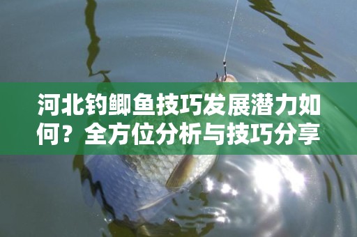 河北钓鲫鱼技巧发展潜力如何？全方位分析与技巧分享