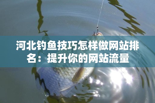 河北钓鱼技巧怎样做网站排名：提升你的网站流量