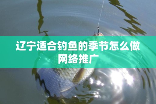 辽宁适合钓鱼的季节怎么做网络推广