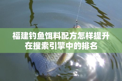 福建钓鱼饵料配方怎样提升在搜索引擎中的排名