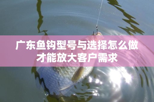 广东鱼钩型号与选择怎么做才能放大客户需求
