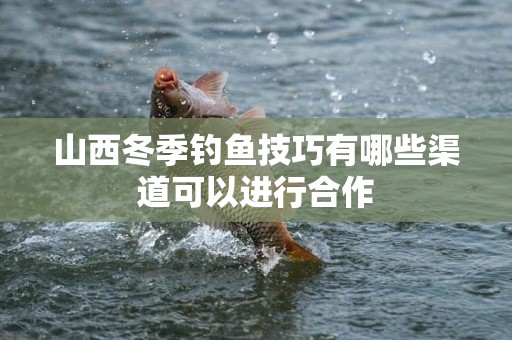 山西冬季钓鱼技巧有哪些渠道可以进行合作