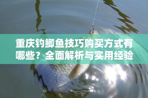 重庆钓鲫鱼技巧购买方式有哪些？全面解析与实用经验分享