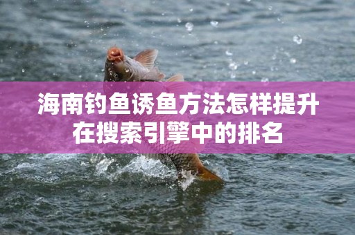 海南钓鱼诱鱼方法怎样提升在搜索引擎中的排名
