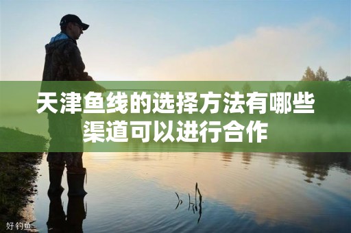 天津鱼线的选择方法有哪些渠道可以进行合作