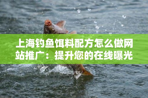 上海钓鱼饵料配方怎么做网站推广：提升您的在线曝光率