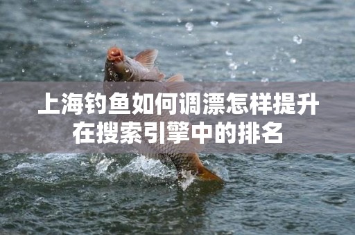 上海钓鱼如何调漂怎样提升在搜索引擎中的排名