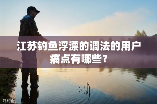 江苏钓鱼浮漂的调法的用户痛点有哪些？