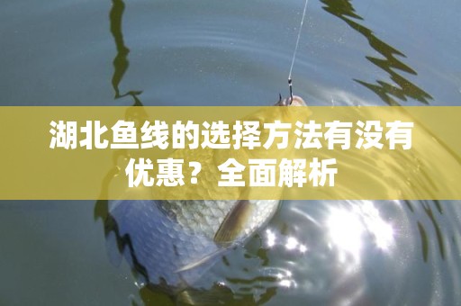 湖北鱼线的选择方法有没有优惠？全面解析