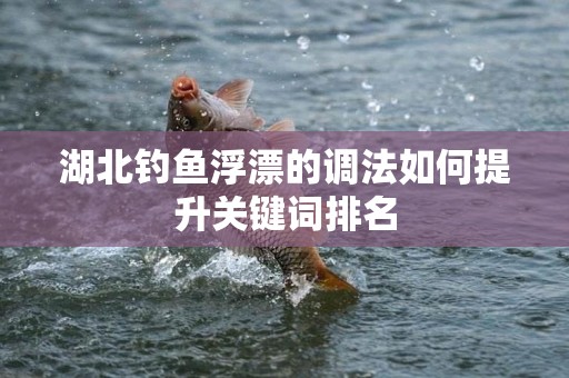 湖北钓鱼浮漂的调法如何提升关键词排名