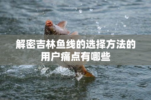 解密吉林鱼线的选择方法的用户痛点有哪些