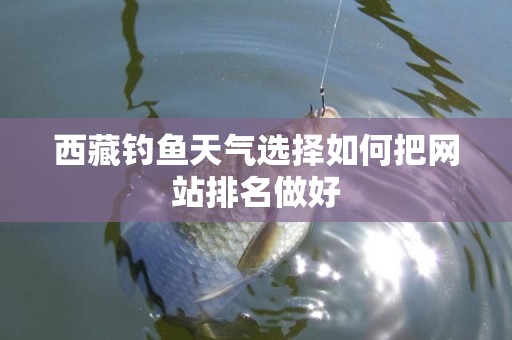 西藏钓鱼天气选择如何把网站排名做好