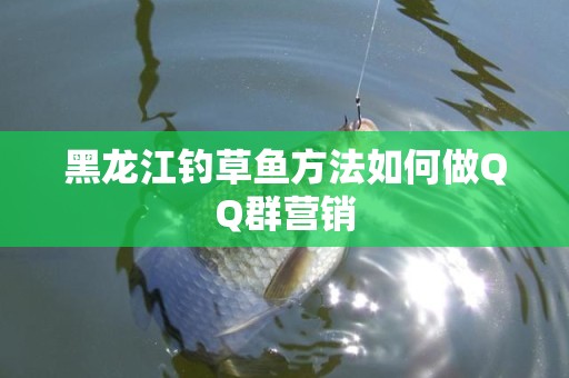 黑龙江钓草鱼方法如何做QQ群营销