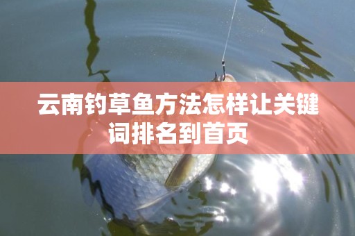 云南钓草鱼方法怎样让关键词排名到首页