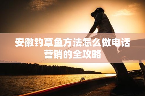 安徽钓草鱼方法怎么做电话营销的全攻略