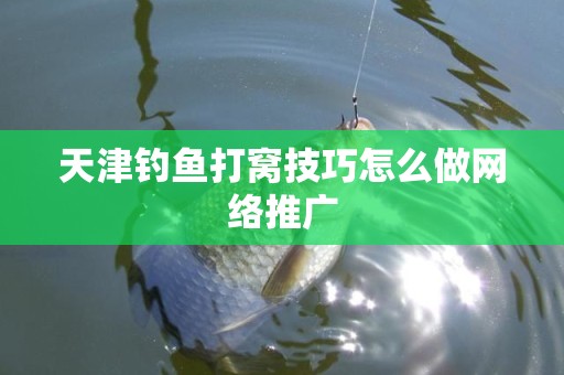 天津钓鱼打窝技巧怎么做网络推广