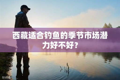 西藏适合钓鱼的季节市场潜力好不好？