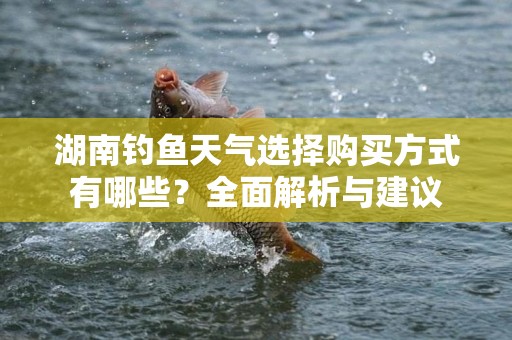 湖南钓鱼天气选择购买方式有哪些？全面解析与建议