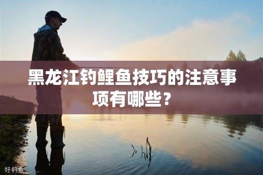 黑龙江钓鲤鱼技巧的注意事项有哪些？