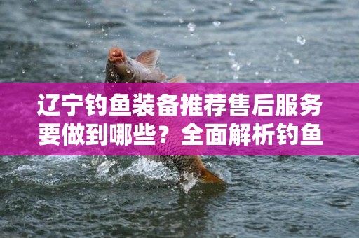 辽宁钓鱼装备推荐售后服务要做到哪些？全面解析钓鱼装备售后服务的重要性