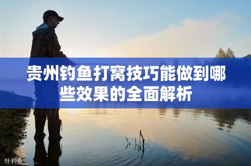 贵州钓鱼打窝技巧能做到哪些效果的全面解析