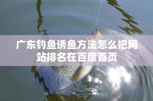 广东钓鱼诱鱼方法怎么把网站排名在百度首页