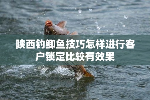 陕西钓鲫鱼技巧怎样进行客户锁定比较有效果