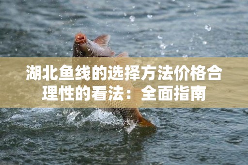 湖北鱼线的选择方法价格合理性的看法：全面指南