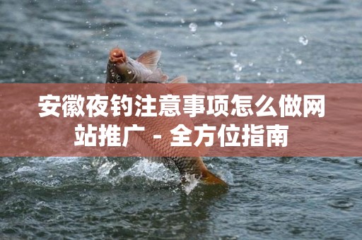 安徽夜钓注意事项怎么做网站推广 - 全方位指南