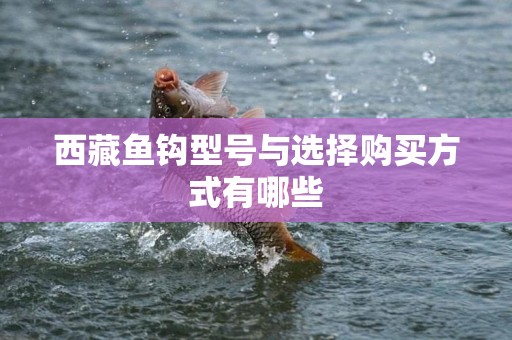 西藏鱼钩型号与选择购买方式有哪些