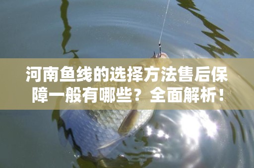 河南鱼线的选择方法售后保障一般有哪些？全面解析！