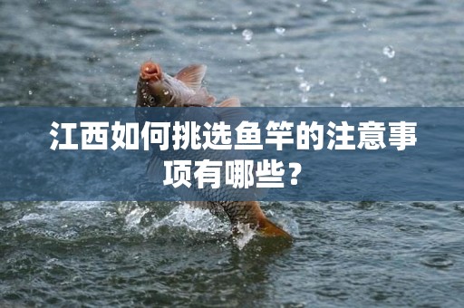 江西如何挑选鱼竿的注意事项有哪些？