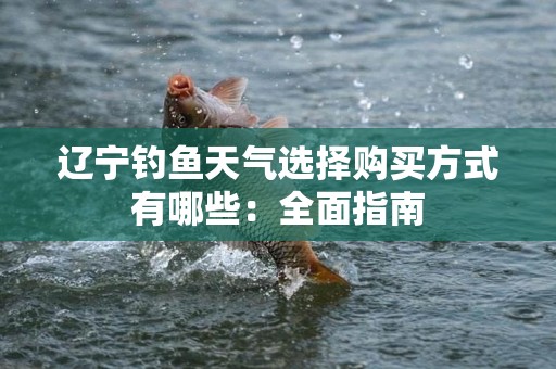 辽宁钓鱼天气选择购买方式有哪些：全面指南