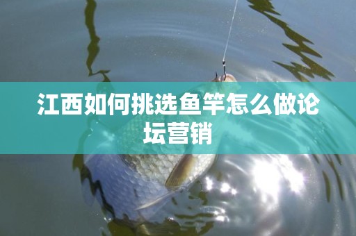 江西如何挑选鱼竿怎么做论坛营销