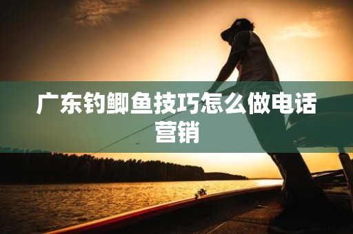 广东钓鲫鱼技巧怎么做电话营销