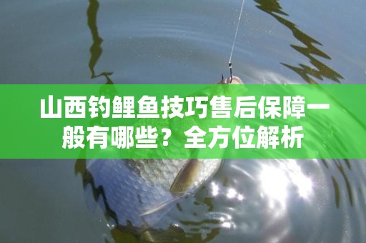 山西钓鲤鱼技巧售后保障一般有哪些？全方位解析