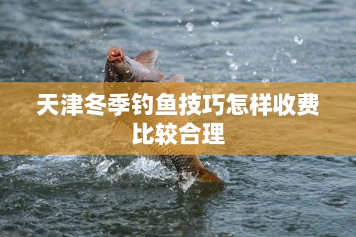 天津冬季钓鱼技巧怎样收费比较合理