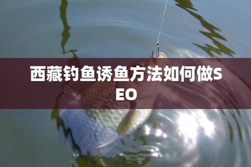 西藏钓鱼诱鱼方法如何做SEO