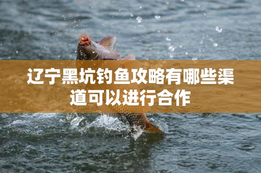辽宁黑坑钓鱼攻略有哪些渠道可以进行合作